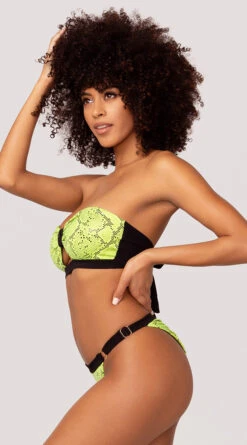 Yandy Snake Charmer Bikini Bottom -Bikini Essence Sales Store EY 4218T EY 4218B YANDY SNAKE BIKINI SWIMSUIT GREEN 40